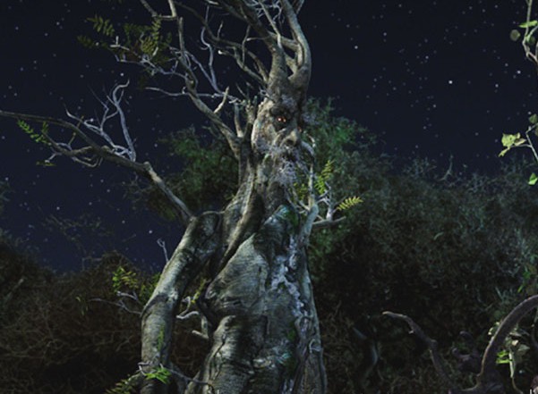 Ent