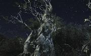 Ent