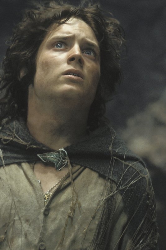 Frodo omotaný pavučinou