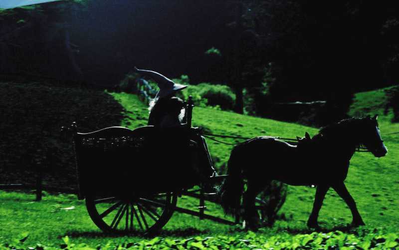 Gandalf na vyjížďce