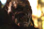 Orc of White Hand