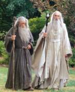 Gandalf a Saruman